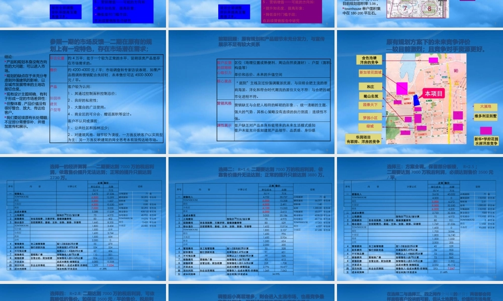 世联_合肥都成印象项目整体定位报告_129PPT