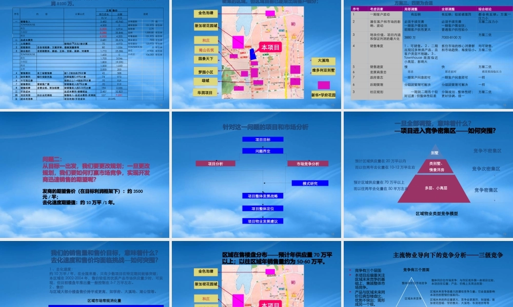 世联_合肥都成印象项目整体定位报告_129PPT