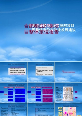世联_合肥都成印象项目整体定位报告_129PPT