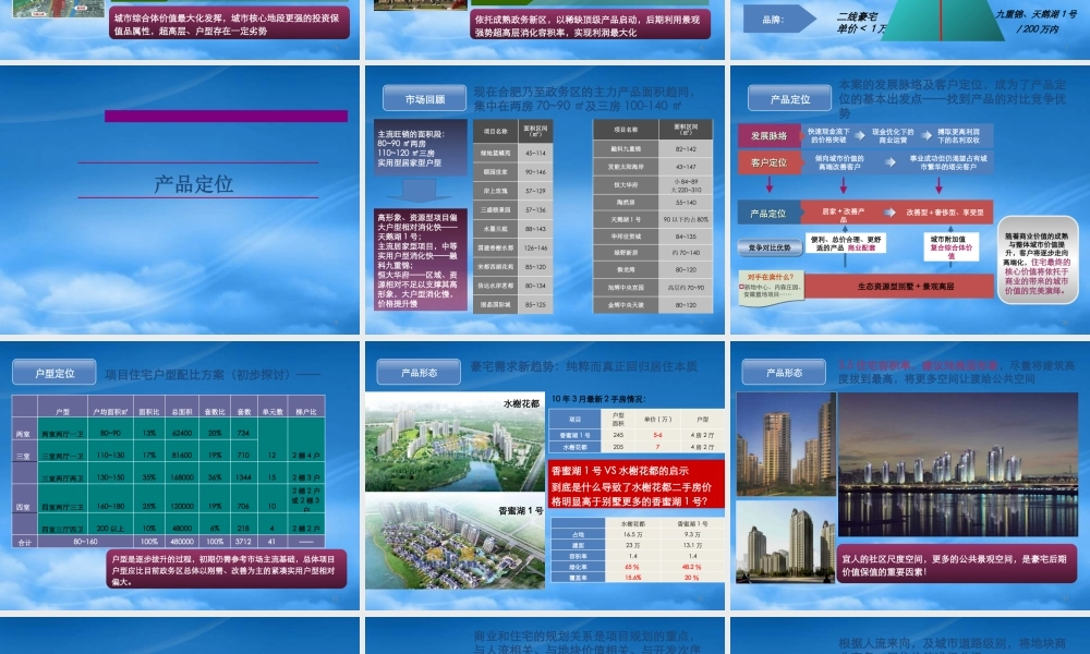 世联_合肥华润绿轴项目占位及定位探讨_34PPT_XXXX年