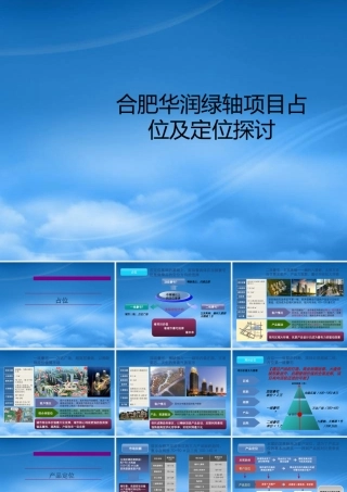 世联_合肥华润绿轴项目占位及定位探讨_34PPT_XXXX年