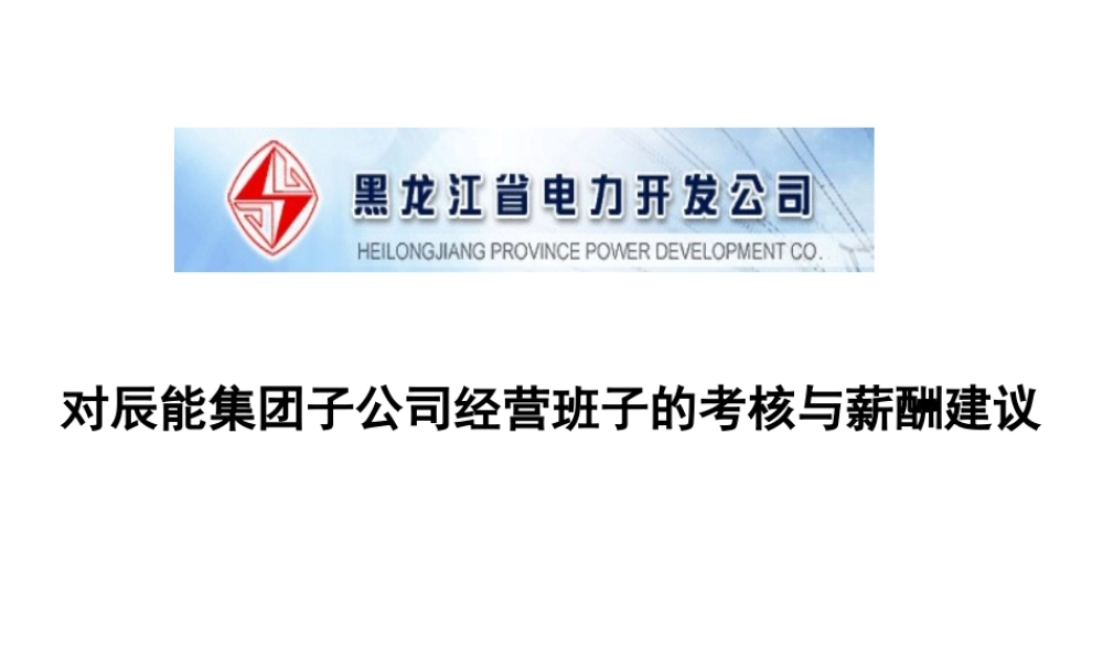 【咨询报告】新华信-辰能集团子公司经营班子的考核与薪酬建议16页
