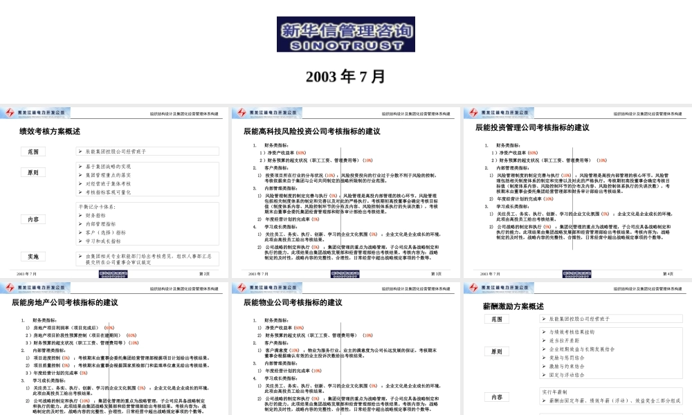 【咨询报告】新华信-辰能集团子公司经营班子的考核与薪酬建议16页