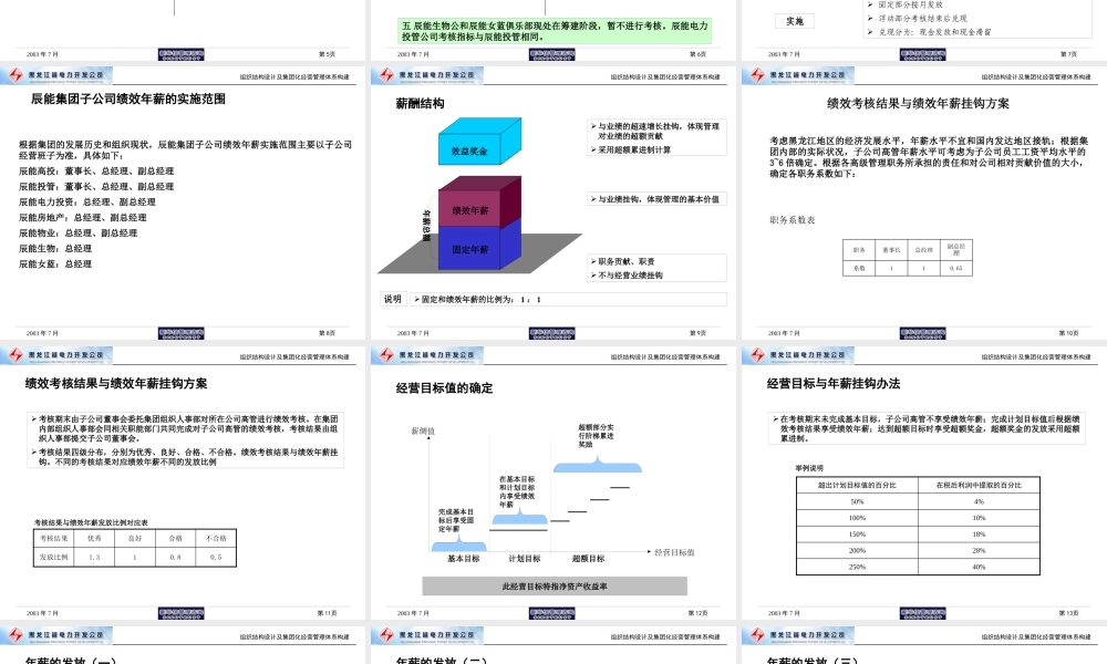 【咨询报告】新华信-辰能集团子公司经营班子的考核与薪酬建议16页
