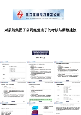 【咨询报告】新华信-辰能集团子公司经营班子的考核与薪酬建议16页