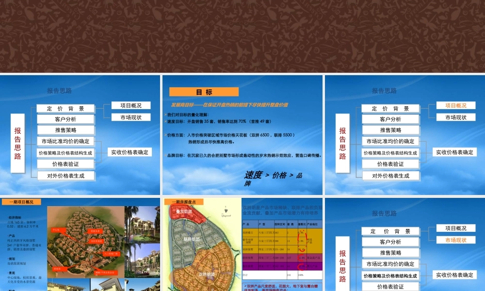 世联_合肥绿色港湾别墅项目一期价格策略报告_89PPT