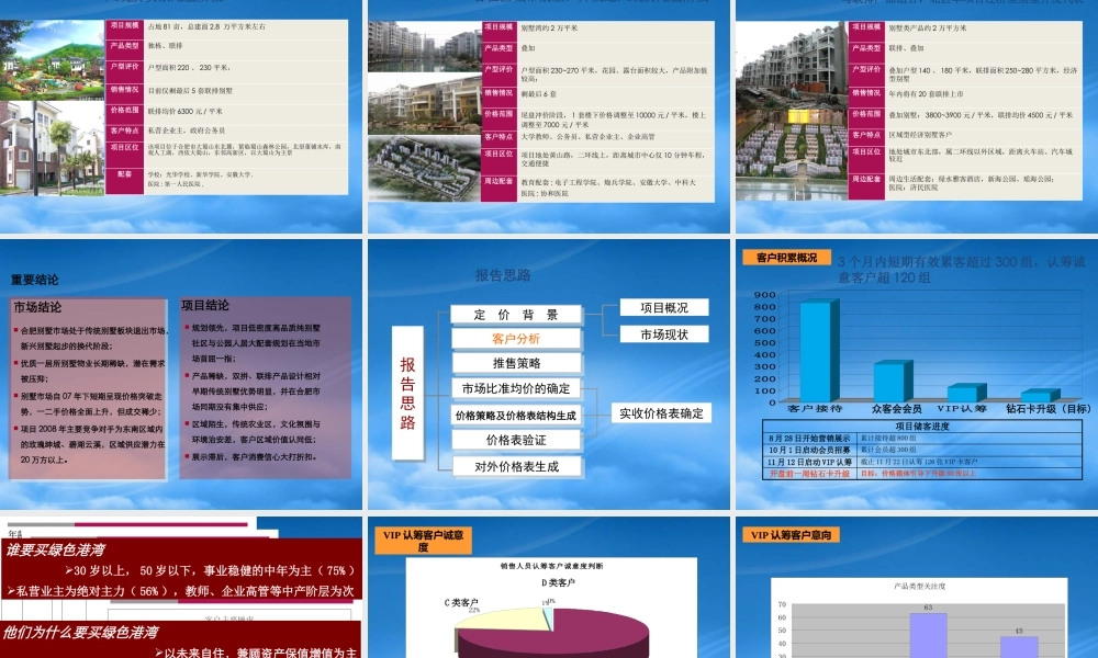 世联_合肥绿色港湾别墅项目一期价格策略报告_89PPT