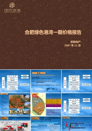 世联_合肥绿色港湾别墅项目一期价格策略报告_89PPT