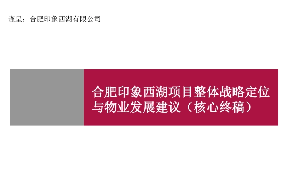 世联_合肥印象西湖项目整体战略定位与物业发展建议（核心终稿）_224PPT