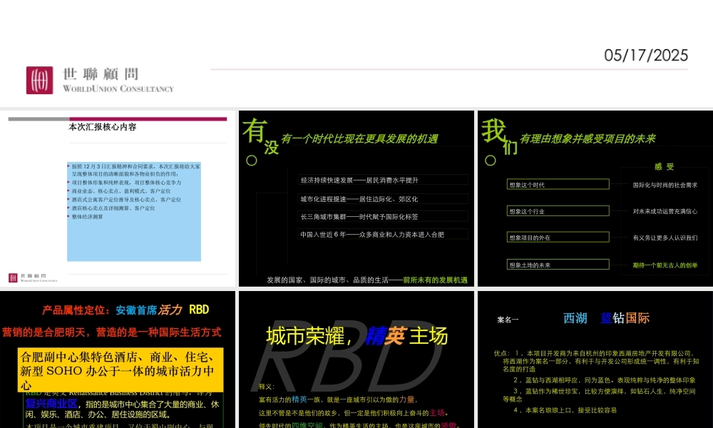 世联_合肥印象西湖项目整体战略定位与物业发展建议（核心终稿）_224PPT