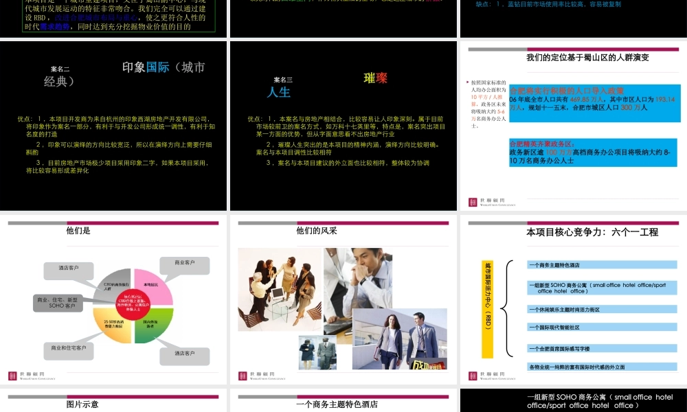 世联_合肥印象西湖项目整体战略定位与物业发展建议（核心终稿）_224PPT