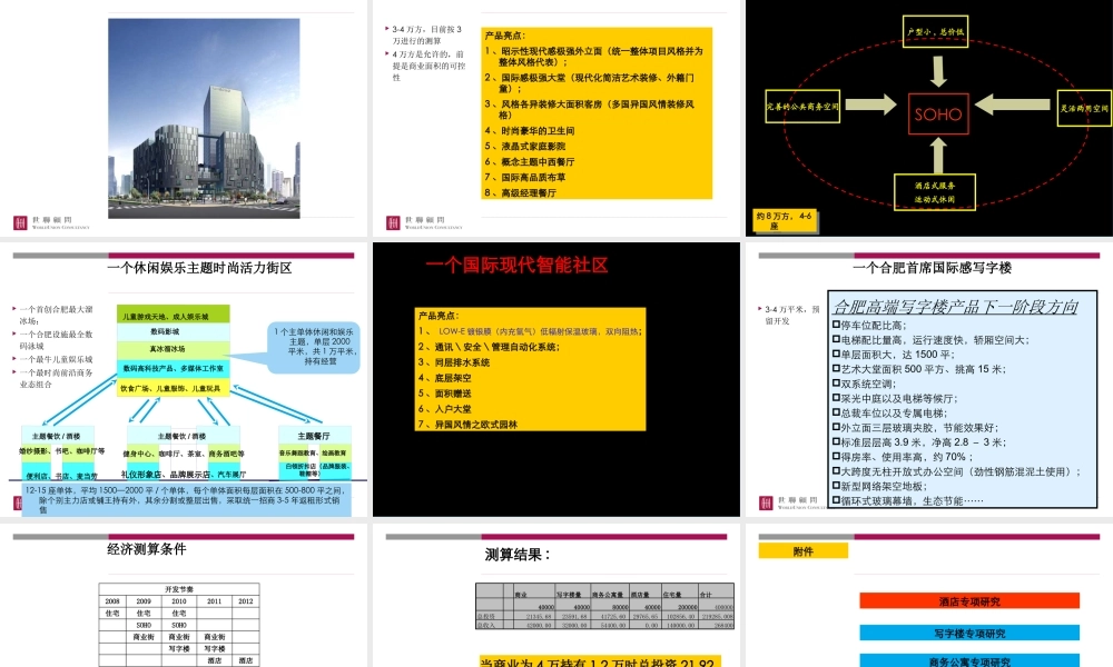 世联_合肥印象西湖项目整体战略定位与物业发展建议（核心终稿）_224PPT