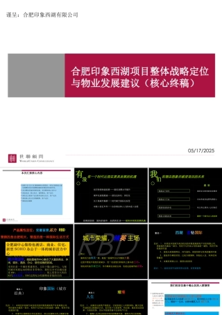 世联_合肥印象西湖项目整体战略定位与物业发展建议（核心终稿）_224PPT