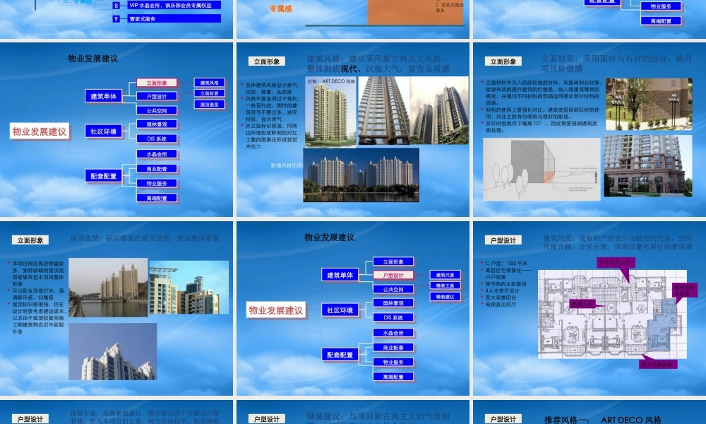 世联_河南洛阳银润置业_中央广场项目终稿汇报稿_121PPT