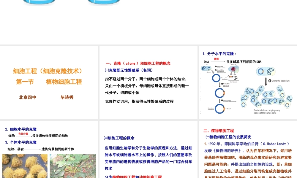 〖XXXX-4-28〗植物组织培养 网通线路 电信线路