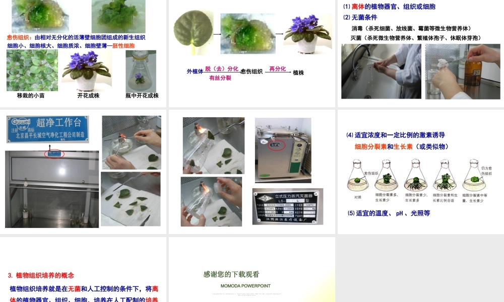 〖XXXX-4-28〗植物组织培养 网通线路 电信线路