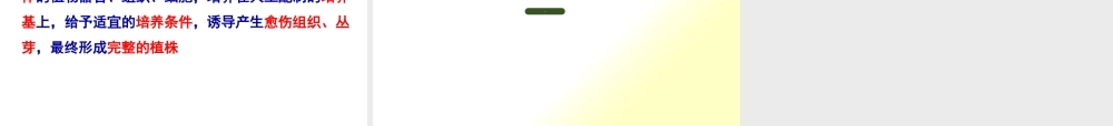 〖XXXX-4-28〗植物组织培养 网通线路 电信线路
