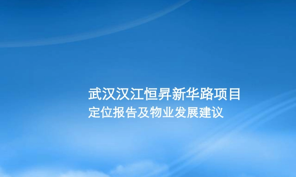 世联_湖北武汉新华路项目定位报告_249P_XXXX年_汉江恒
