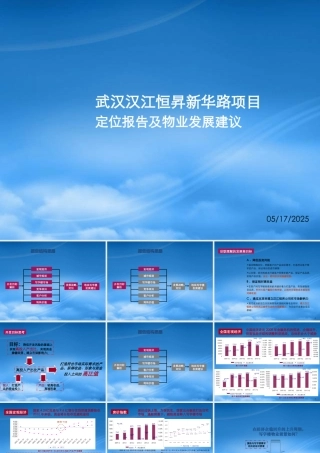 世联_湖北武汉新华路项目定位报告_249P_XXXX年_汉江恒