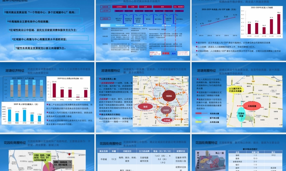 世联_江苏常州万博湖塘工商所项目商业策略总纲_115页_XXXX年