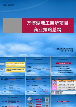世联_江苏常州万博湖塘工商所项目商业策略总纲_115页_XXXX年