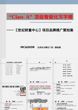 〖世纪财富中心〗项目品牌推广策划案