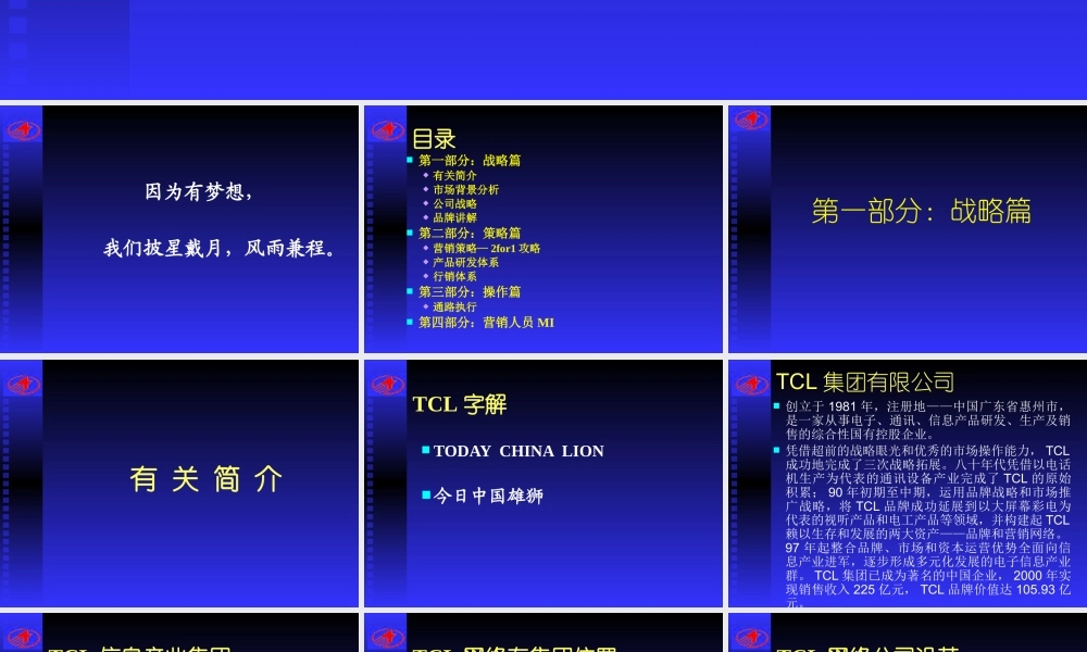 〖销售管理培训〗完成版tcl网络营销传播手册