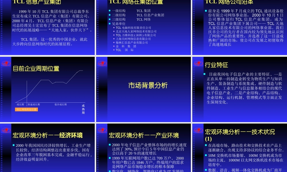 〖销售管理培训〗完成版tcl网络营销传播手册