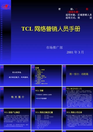 〖销售管理培训〗完成版tcl网络营销传播手册