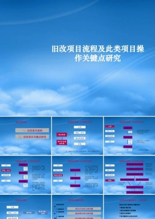 世联_旧改项目流程及此类项目操作关键点研915232204