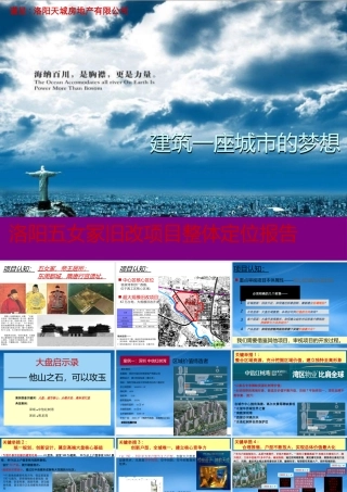 世联_洛阳五女冢旧改高端大盘项目整体定位