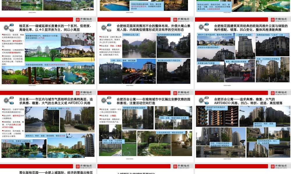 世联_某地产系产品风格分享_16P
