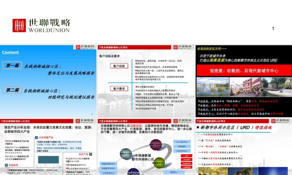 世联_宁波东钱湖新城核心区项目整体定位与发展战略_234PPT