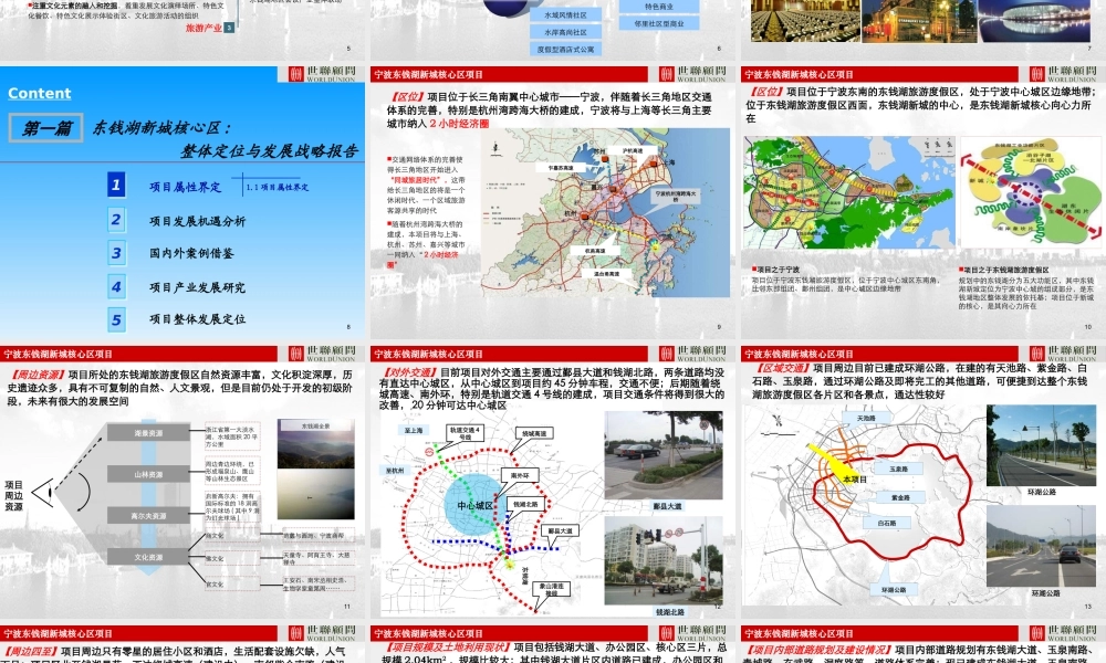 世联_宁波东钱湖新城核心区项目整体定位与发展战略_234PPT