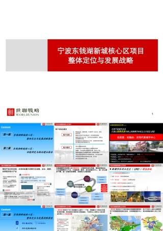 世联_宁波东钱湖新城核心区项目整体定位与发展战略_234PPT