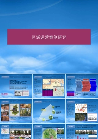 世联_区域运营案例研究_26PPT