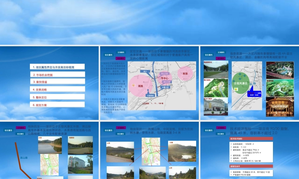 世联_融科_江西景德镇别墅项目定位报告终稿_194PPT