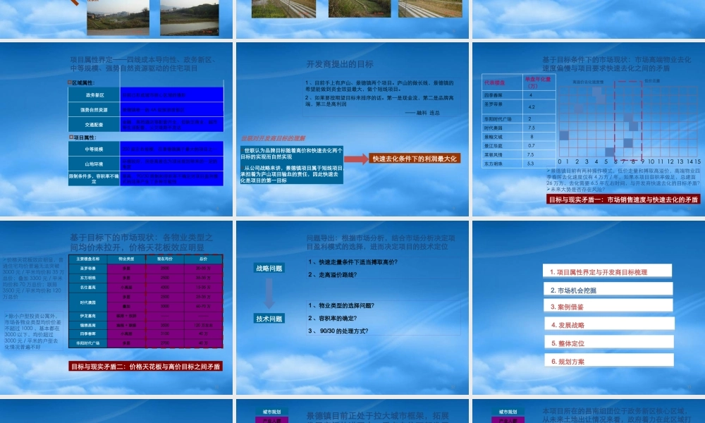世联_融科_江西景德镇别墅项目定位报告终稿_194PPT