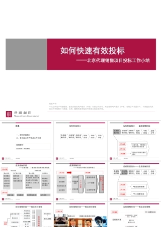 世联_如何快速有效投标_北京代理销售项目投标工作小结
