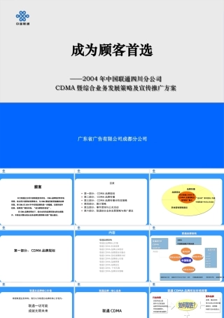 ××公司CDMA暨综合业务发展策略及宣传推广方案(2)