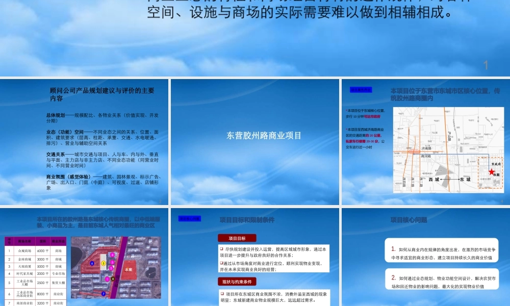 世联_山东东营胶州路商业项目产品规划建议报告