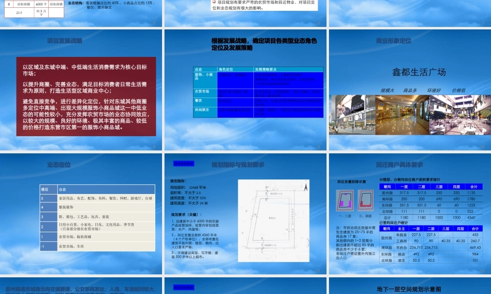 世联_山东东营胶州路商业项目产品规划建议报告
