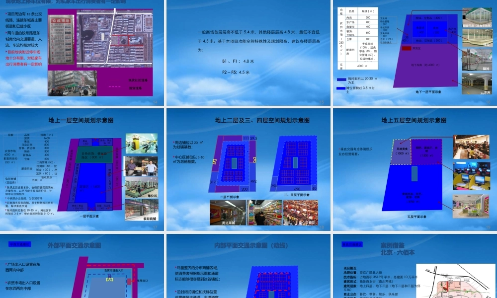世联_山东东营胶州路商业项目产品规划建议报告