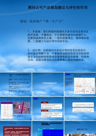 世联_山东东营胶州路商业项目产品规划建议报告