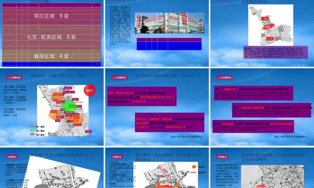 世联_上海康城前广场项目商业定位报告_82页