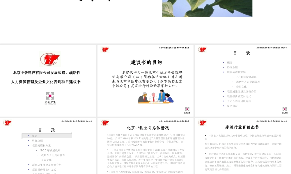 ××公司发展战略、战略性人力资源管理及企业文化咨询