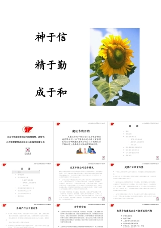 ××公司发展战略、战略性人力资源管理及企业文化咨询