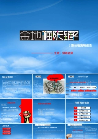 世联_深圳金地梅陇镇2期价格策略报告_93PPT_经典_高层