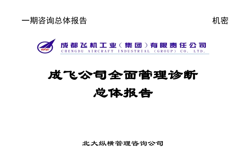 ××公司全面管理诊断总体报告(2)