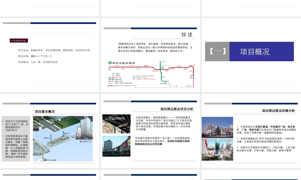 世联_深圳中信地铁商场C-1区招商策划报告_50PPT